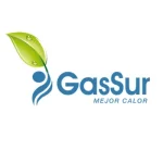 logotipo empresa gassur